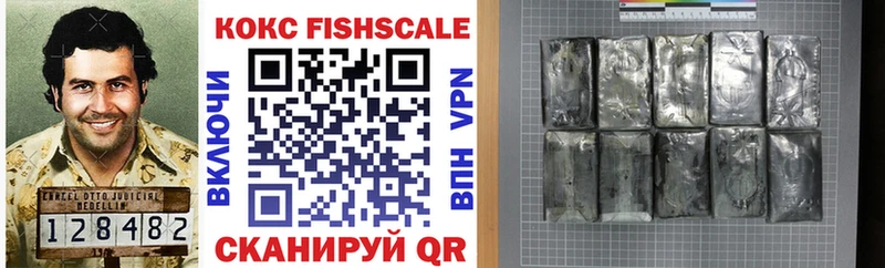 Кокаин FishScale  Купить где  Прокопьевск 