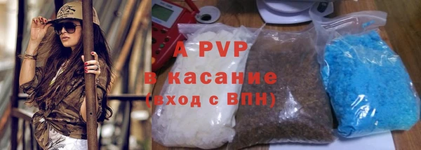 дмт Нея