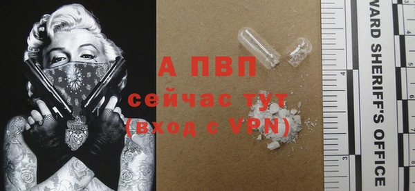 дмт Нея
